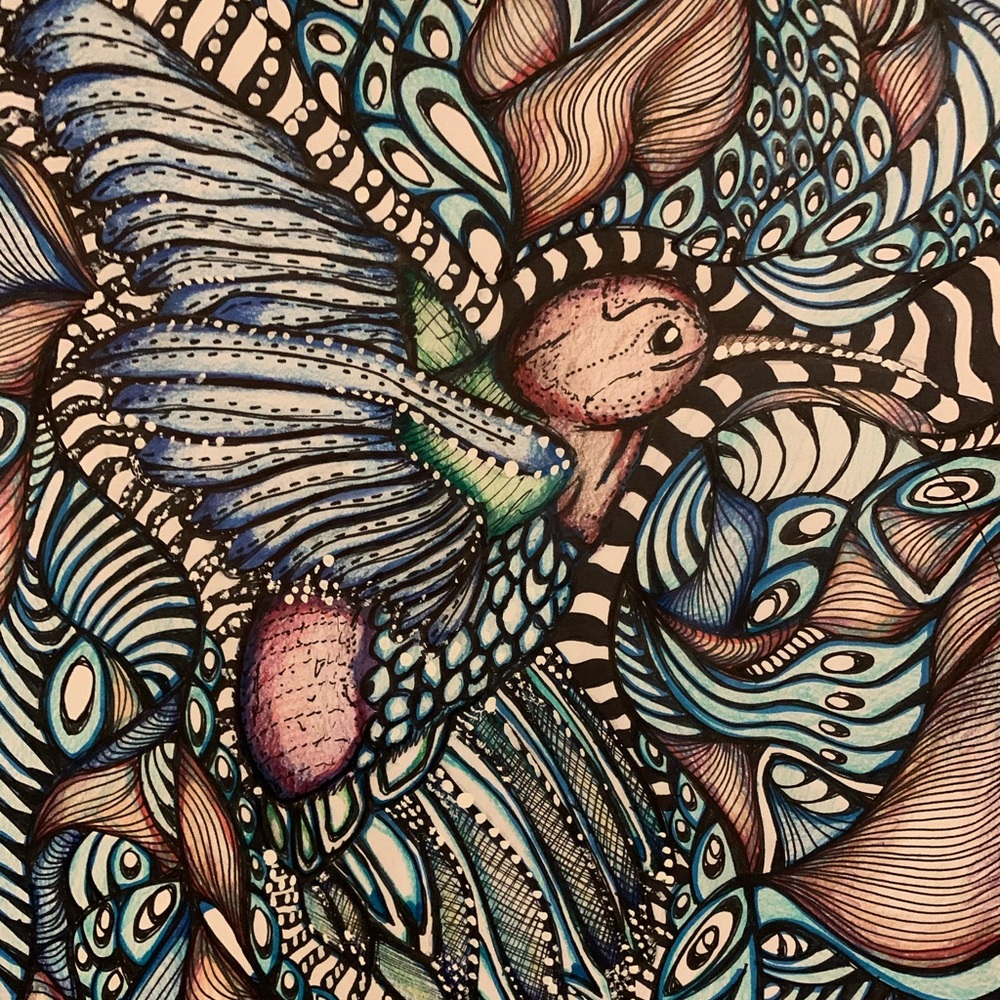 Hummingbird Dreams- an 11 by 14 print of my work